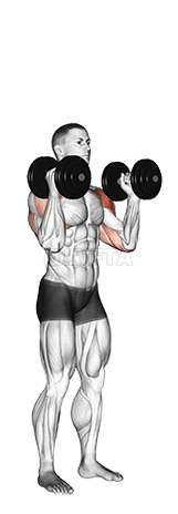 Dumbbell Standing Palms In Press demonstration