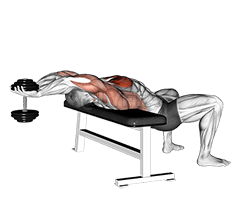 Straight Arm Pullover demonstration