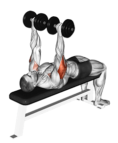 Dumbbell Tate Press