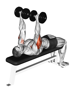 Dumbbell Tate Press