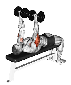 Image of Dumbbell Tate Press
