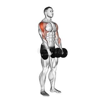 Dumbbell Upright Row