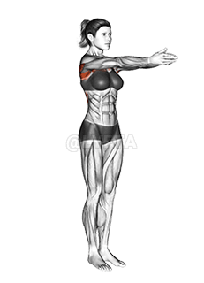 Dynamic Chest Stretch