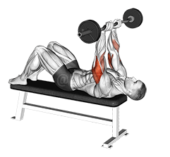 Thumbnail for the video of exercise: EZ Barbell Decline Close grip Face Press