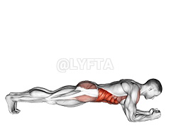 Front Plank with Twist