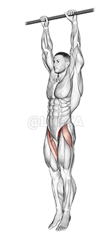 Thumbnail for the video of exercise: Sollevamento della gamba sospesa