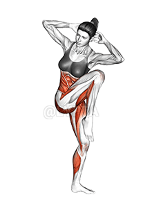 High Knee Squat demonstration