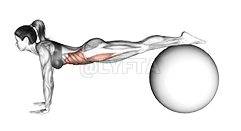Jack knife on Ball