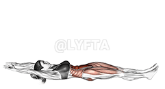 Jack Split Crunches demonstration