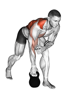 Kettlebell One Arm Row