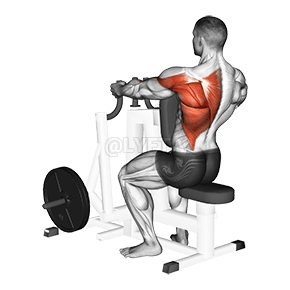 Lever Alternating Narrow Grip Seated Row demonstration