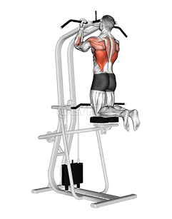 Lever Assisted Chin-Up demonstration