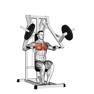 Lever Chest Press