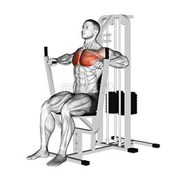 Lever Chest Press