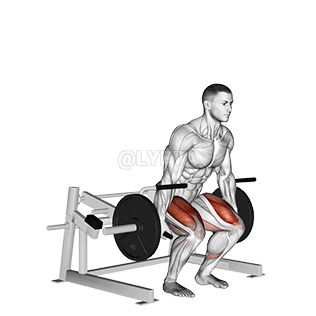 Lever Deadlift demonstration