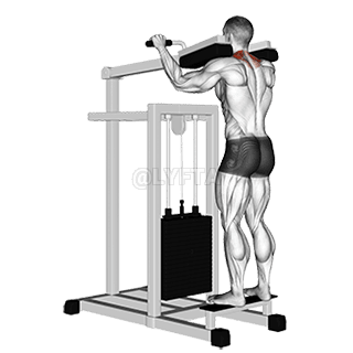 Lever Gripless Shrug demonstration