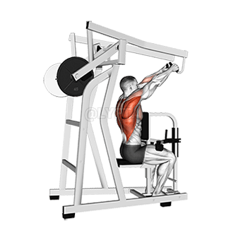 Lever High Row demonstration