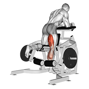 Lever Kneeling Leg Curl demonstration
