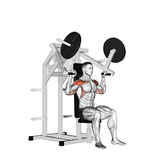 Lever Military Press demonstration