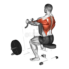 Lever Narrow Grip Seated Row