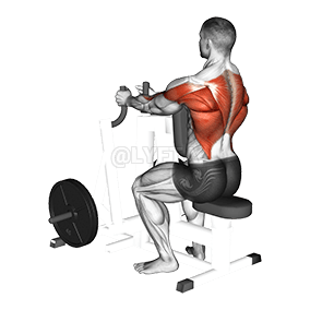 Image of Lever Narrow Grip Seated Row