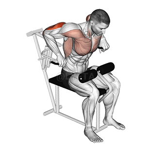 Lever Overhand Triceps Dip demonstration