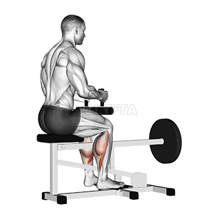 Image of Lever Seated Calf Raise