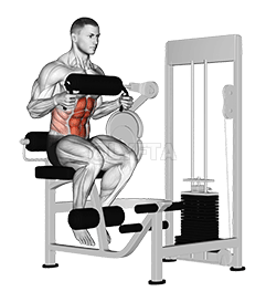 Lever Seated Crunch demonstration