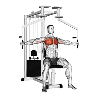 Муха сидя на рычаге demonstration