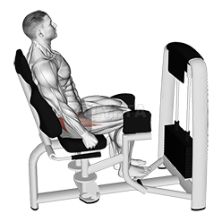 Lever Seated Hip Abduction