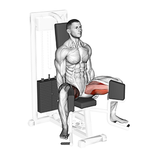 Image of Lever Seated Hip Adduction