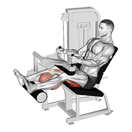 Lever Seated Leg Curl