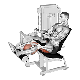 Image of Lever Seated Leg Curl