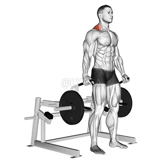 Lever Shrug demonstration