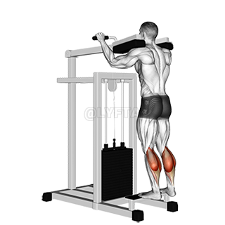 Image of Lever Standing Calf Raise