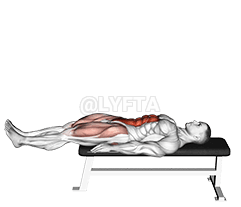 Lying Leg Raise Flat Bench demonstration
