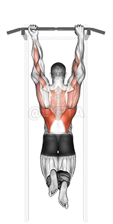 Mixed Grip Chin-up demonstration