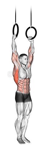 Muscle Up demonstration