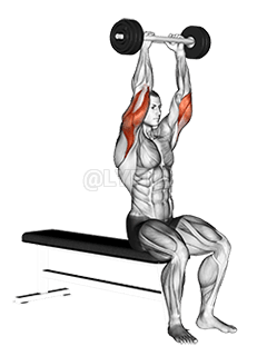 Olympic Barbell Triceps Extension demonstration