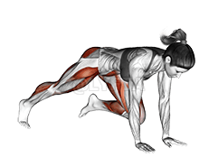 Push-up demonstration