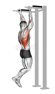 Reverse grip Pull-up demonstration