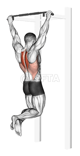 Scapular Pull-Up demonstration