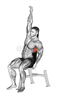 Seated Lower Back Stretch demonstration