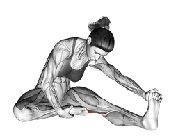 Seated Single Leg Hamstring Stretch