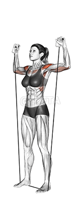 Shoulder Press demonstration