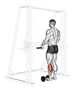 Single Leg Calf Raise demonstration