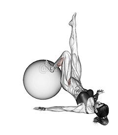 Single Leg Extension