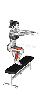 Single Leg Step-up demonstration