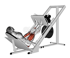 Image of Sled 45° Leg Press