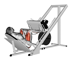 Sled 45° Leg Wide Press